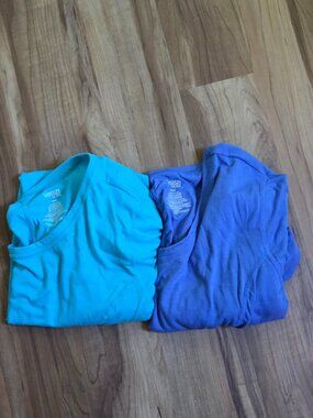 TWO (2) Women's Danskin Plus Sized 3x Tees in Blue and Teal